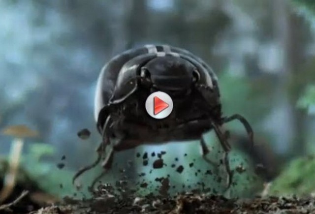 VIDEO: Iata primul teaser VW New Beetle