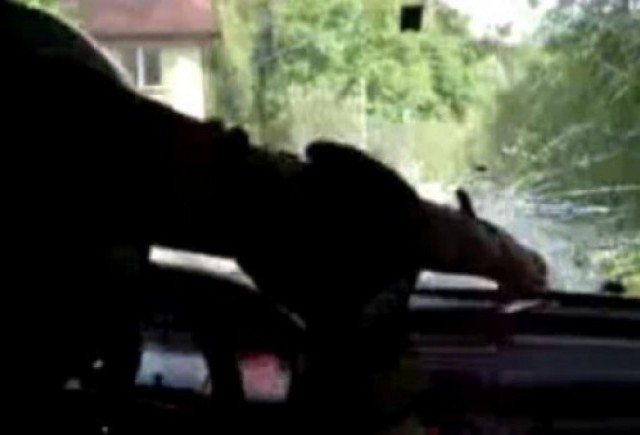 VIDEO: O creanga de copac intra in cockpit-ul unei masini de raliu