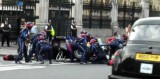 VIDEO: Mark Webber face un pit stop in fata parlamentului britanic26747