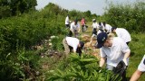 Dacia a organizat o actiune de ecologizare pe Raul Targului25936