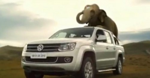 VIDEO: Volkswagen Amarok - elefantul25854