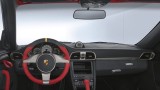 Galerie Foto: Noul Porsche 911 GT2 RS24891