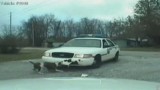 VIDEO: Un caine vandalizeaza o masina de politie22808
