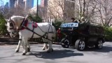 VIDEO: Hummerul cu doi cai putere22787