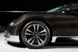 Geneva LIVE: Bugatti dezvaluie doua editii speciale ale lui Veyron Grand Sport21242