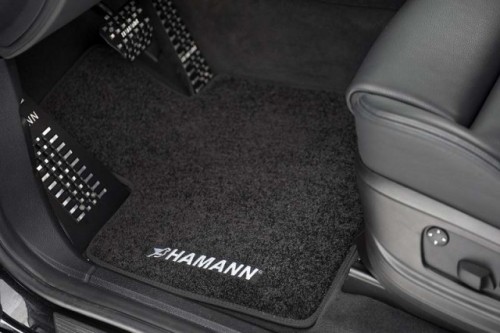Geneva preview: BMW X6 de 670 CP marca Hamann20485