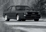 Audi Quattro - 30 de ani de performanta19984