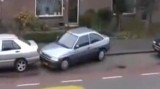 VIDEO: Cea mai proasta parcare posibila16847