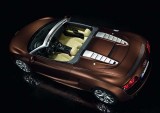 Frankfurt LIVE: Audi R8 Spyder, lansare oficiala14643