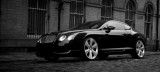 Bentley a vandut cinci limuzine in cinci luni, dupa ce in tot anul 2008 a vandut patru12110