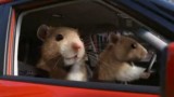 VIDEO: Hamsterii conduc Kia Soul7498