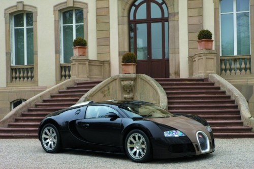 Bugatti Veyron Hermes - Ispita irezistibila!855