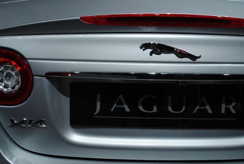 Standul Jaguar