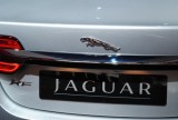 Standul Jaguar