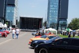 Introspectiva Bucharest Wheels Arena 2012