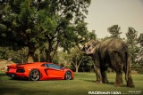 Lamborghini Aventador si un elefant