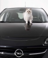 Noul Opel Corsa şi Choupette pozează pentru Karl Lagerfeld