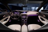 Infiniti va lansa Q30 la Salonul Auto de la Frankfurt