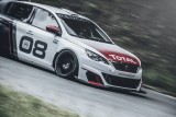 OFICIAL: Peugeot 308 Racing Cup