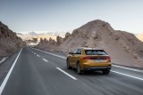 ANALIZĂ COMPLETĂ: Audi Q8