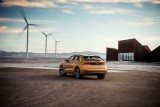 ANALIZĂ COMPLETĂ: Audi Q8