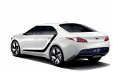 Hyundai  prezinta noul concept Blue245018