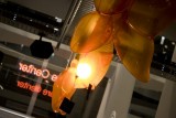 Galerie Foto: Lansarea lui Dacia Sandero Orange34687