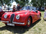 Jaguar 1920 – 194029615