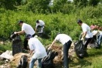 Dacia a organizat o actiune de ecologizare pe Raul Targului