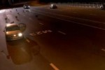 VIDEO: Un politist sare intr-o masina de frica unei haite de lupi