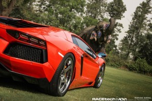 Sesiune foto inedita - Lamborghini Aventador impreuna cu un elefant