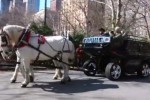 VIDEO: Hummerul cu doi cai putere